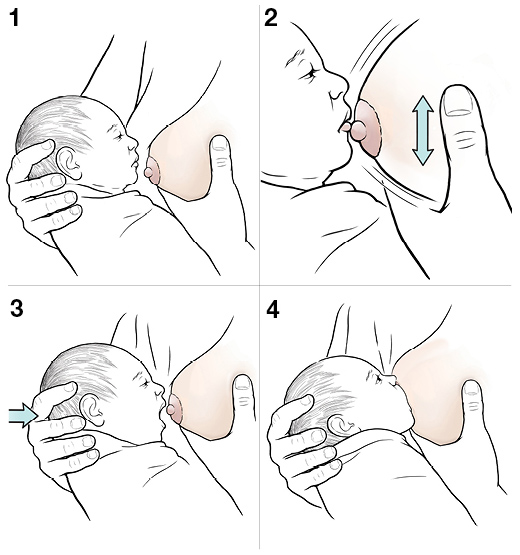 4 pasos para ayudar a un bebé a prenderse para tomar el pecho